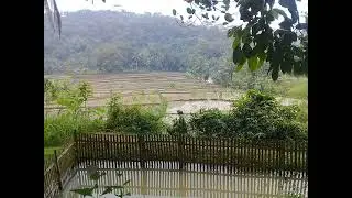 SUARA ALAM INDONESIA