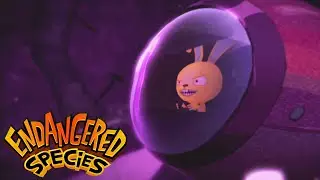 Innards Space | Endangered Species - WildBrain | Full Episodes for Kids