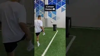 КРАП УНИЗИЛ ПАНТЕРУ? 