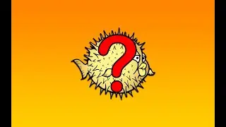 Q&A: Why can't I help you with your OpenBSD problems?