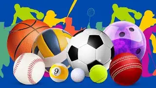Sports Ball Names For All | Easy English Sports Balls | Different Ball Types for Children