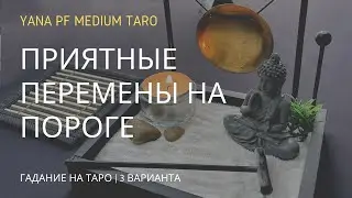 #ТАРО