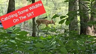 SRT Pottstown To Birdsboro