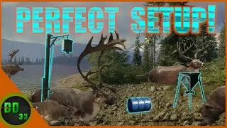 How To Make The Perfect Setup With Big Game Feeders! Call Of The Wild