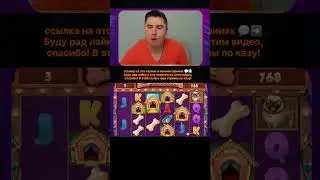 стрим казино и заносы недели , игра dog house