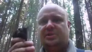 Летний вечер в лачуге
