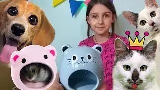 Подарок сюрприз для Крысок Котёнка Мурки и других питомцев Лизы