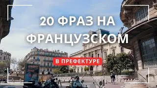 Уроки французского 20 фраз для префектуры