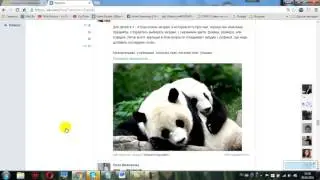 Как можно сохранить важные посты ВКонтакте