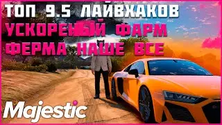 ТОП 9.5 ЛАЙВХАКОВ НА ФЕРМЕ ДЛЯ БЫСТРОГО ФАРМА БЕЗ ПОТЕРЬ ВРЕМЕНИ◗ Majestic Rp