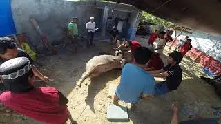 GOPR4166