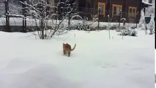 First step