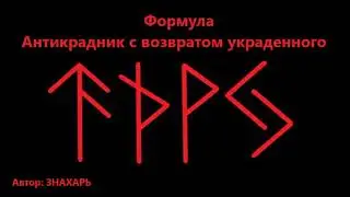АНТИКРАДНИК С ВОЗВРАТОМ *224