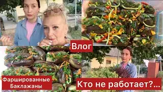 Еле Добрались домой🇺🇦Отдыхаем!Фарширую Баклажаны,Что такое вдовий холмик?