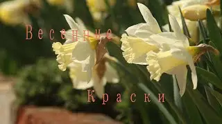 Весенние краски