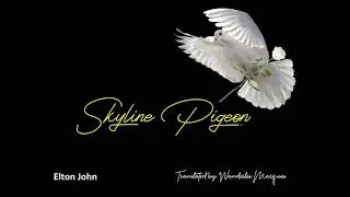 Elton John -  Skyline Pigeon