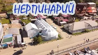 Нерпинарий Листвянка (озеро Байкал)