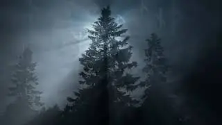 Danheim   Runar