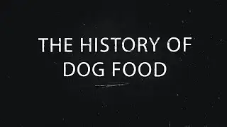 The History of Dog Food