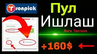 Tronpick. Катта Пул Ишлаш Тактика / Internetda Pul Ishlash 2024