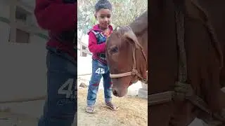 Please Subscribe
