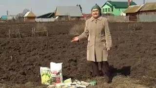 How to improve soil fertility. The restoration of soil fertility. │Bashinkom