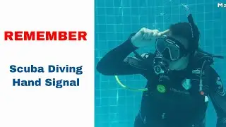 Remember - Scuba Diving Hand Signal