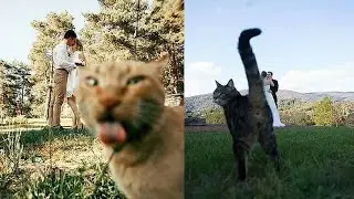 Is There Life Without a Cat? / Kedisiz Hayat Olur mu?