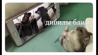 fromoldnuke флексит на улицах ..........