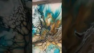 #shorts Stretched Blooms Awesome Colours