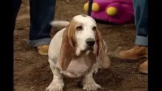 Poor Bingo