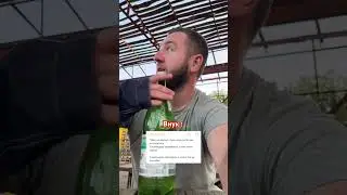 3 сентября 