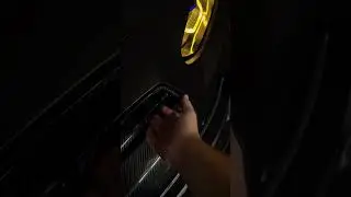 BMW Roar