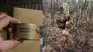 Охота 