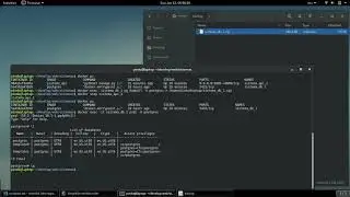 Backup Psotgres en Docker