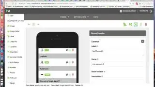 Using Google Maps API within iFormBuilder
