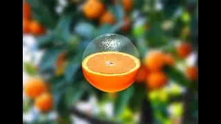 Create a Transparent Effect In Photoshop | Easy Tutorial For Beginners 2025 | Photo Manipulation