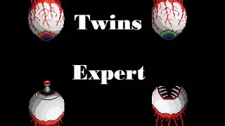 How to defeat the Twins. (Expert)