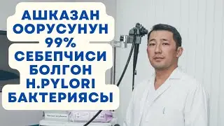 Ашказан оорусунун 99% себепчиси h.pylori бактериясына кантип туура анализ тапшыруу керек!