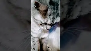 код ошибки:/? /? _==₽9293481=#=₽)@=@=)@#)₽)&)#=#=