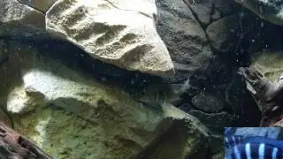 Rio Tapajos 