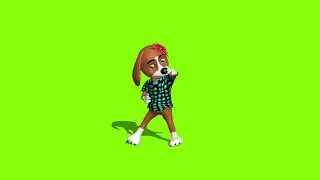 cute dog toon funny dance green screen effect