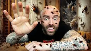 The 10 Largest INFESTATIONS in History
