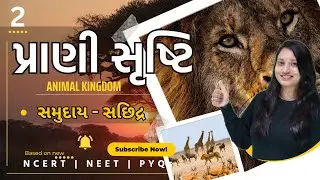 Std 11 Science Biology Ch 4 | Prani Shrusti | Animal Kingdom | પ્રાણી સૃષ્ટિ_02
