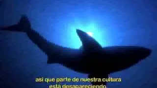 Isla Guadalupe y sus Alrededores 3-3