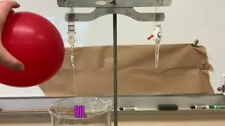 Charged Balloon Water and Oil Demo - Polarity Intro