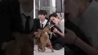ХАХАХА ЧАН ПОД ЗВУК ПОДНЯЛ ГОЛОВУ #kpop #корея #стрейкидс #cute #skz #straykids #скз #кпоп #мем #чан