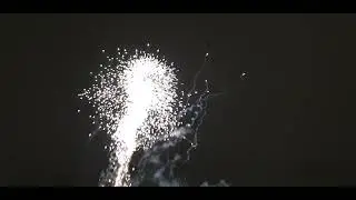 Stoken palau 2022