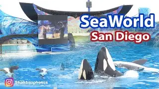 SeaWorld San Diego