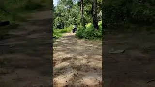 Death Rider on my Modified Activa 125 #bababali kare #badmashi ni chadi hlae bilo #loki kende rider🚀